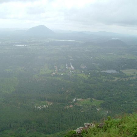 Raintree Βίλα Dambulla Εξωτερικό φωτογραφία