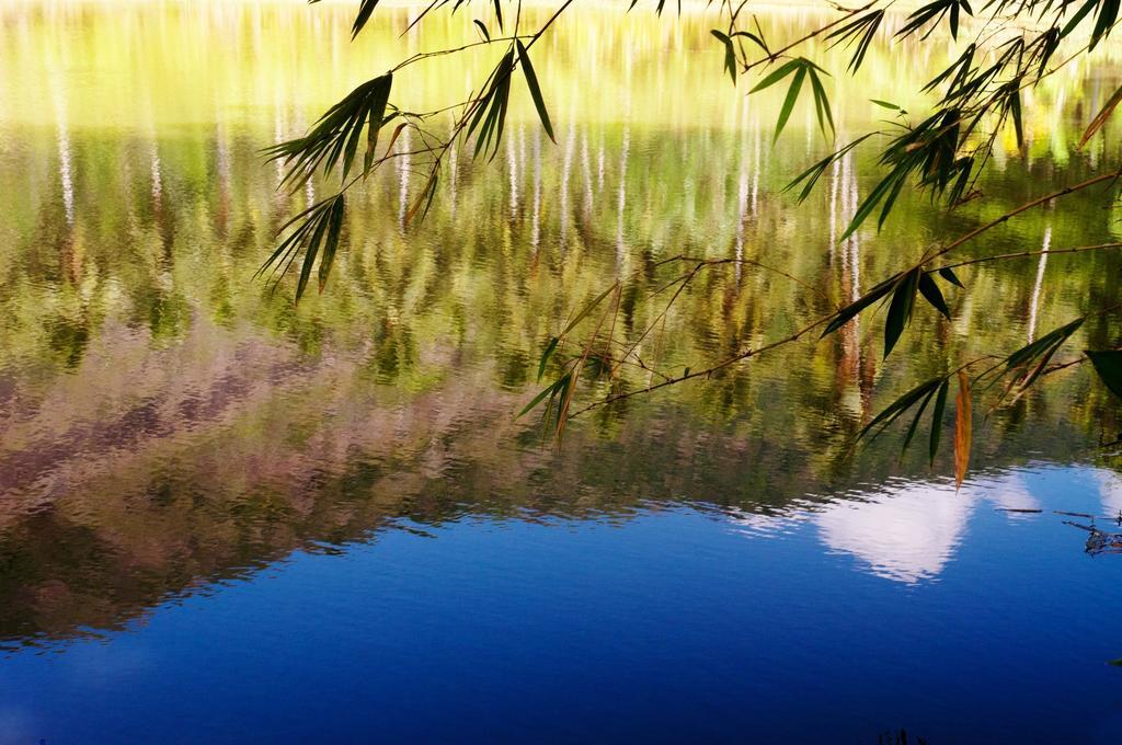 Raintree Βίλα Dambulla Εξωτερικό φωτογραφία