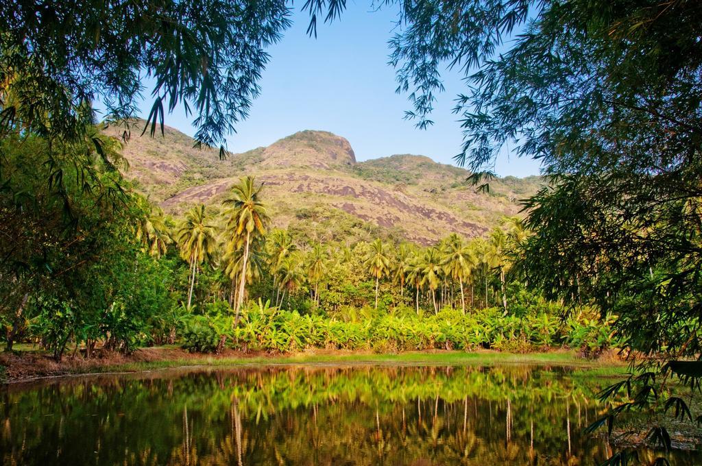 Raintree Βίλα Dambulla Εξωτερικό φωτογραφία