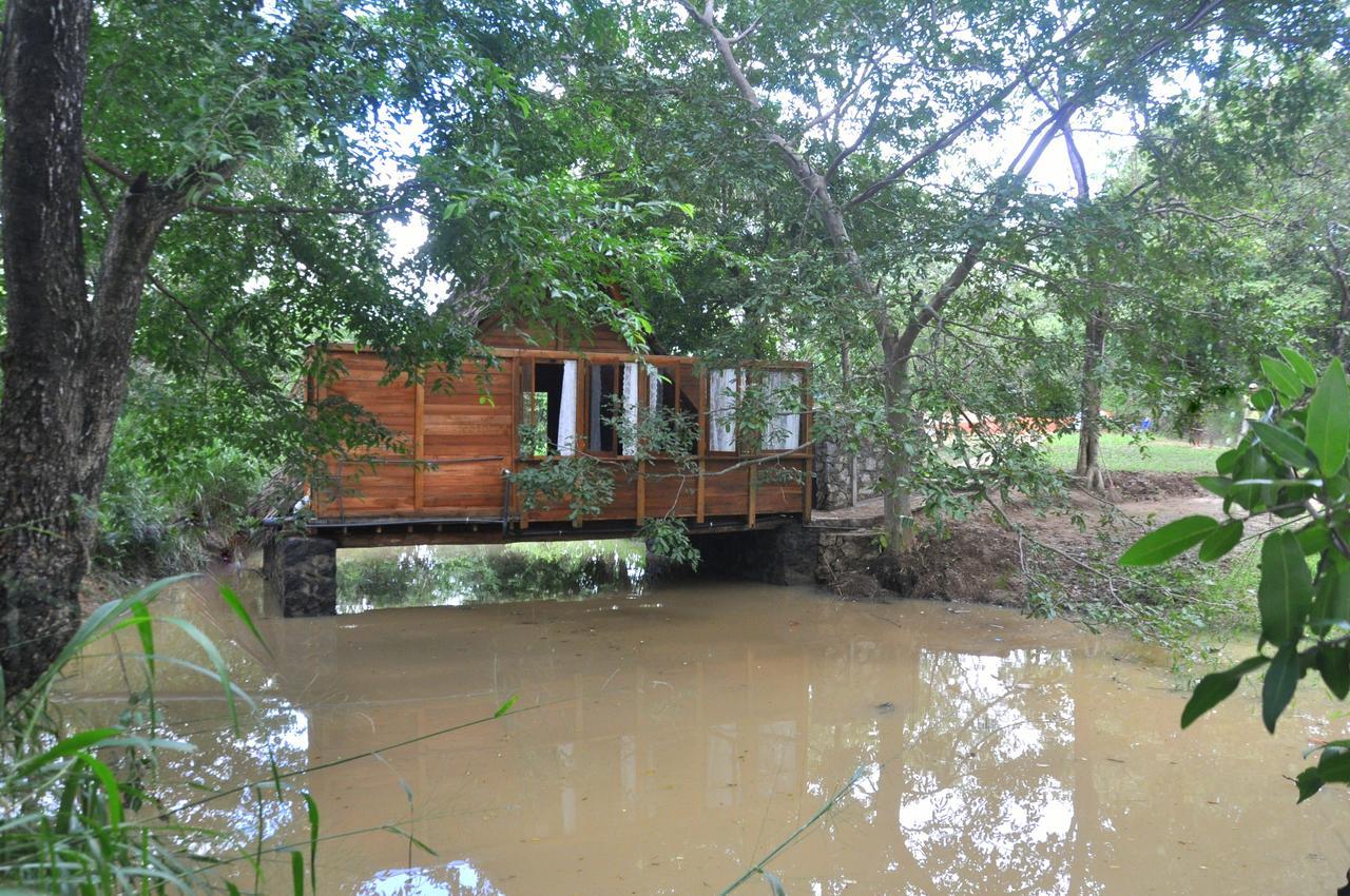 Raintree Βίλα Dambulla Εξωτερικό φωτογραφία