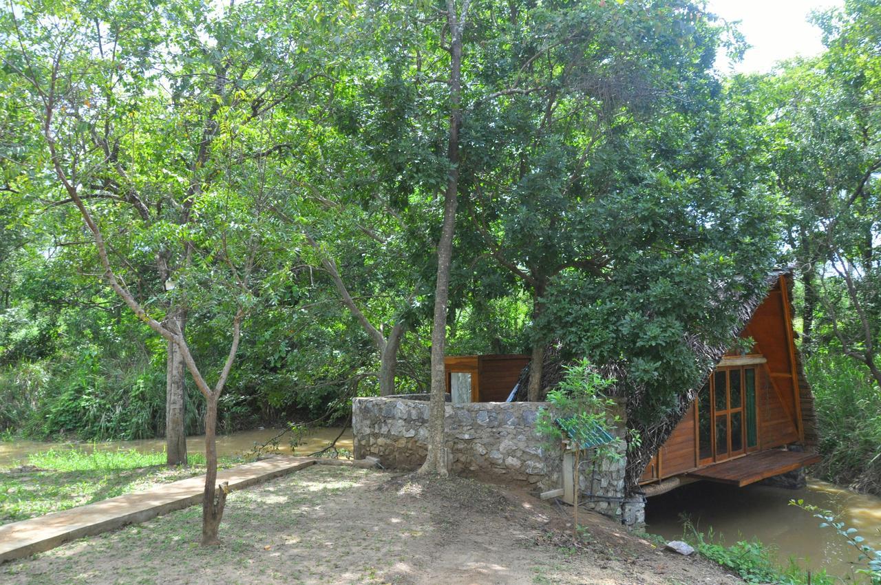 Raintree Βίλα Dambulla Εξωτερικό φωτογραφία