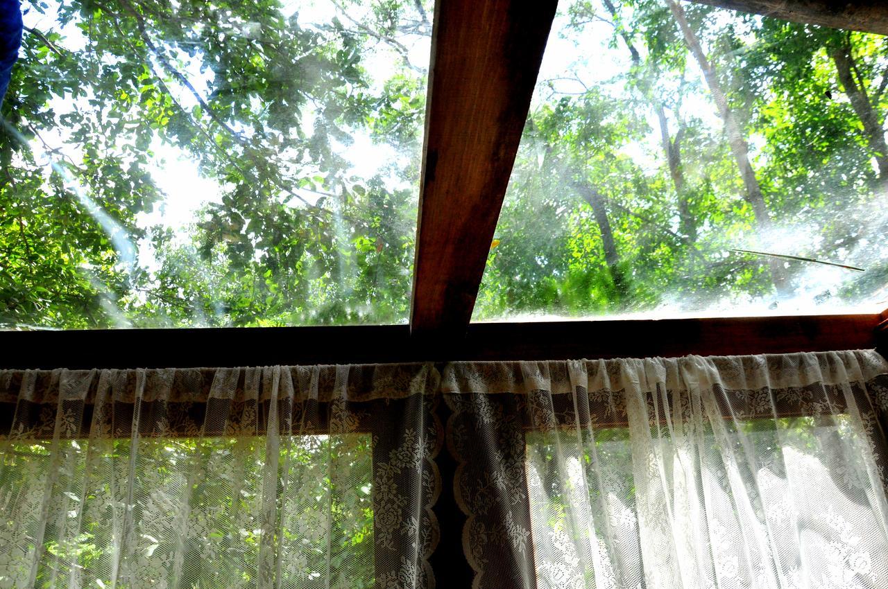 Raintree Βίλα Dambulla Εξωτερικό φωτογραφία