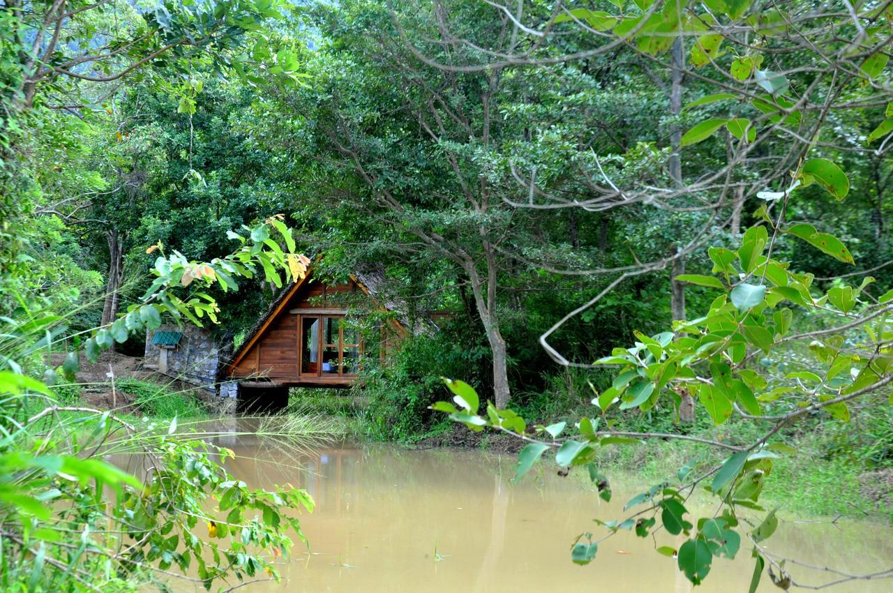 Raintree Βίλα Dambulla Εξωτερικό φωτογραφία