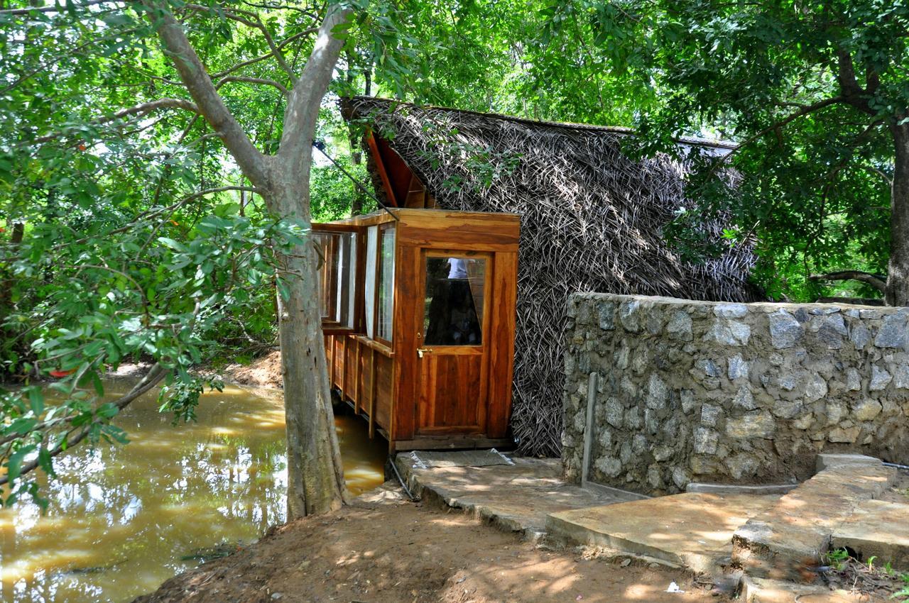 Raintree Βίλα Dambulla Εξωτερικό φωτογραφία