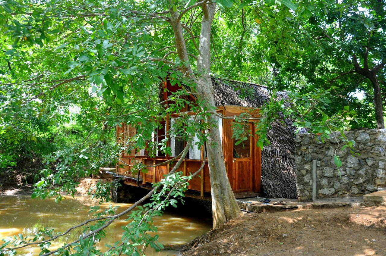 Raintree Βίλα Dambulla Εξωτερικό φωτογραφία