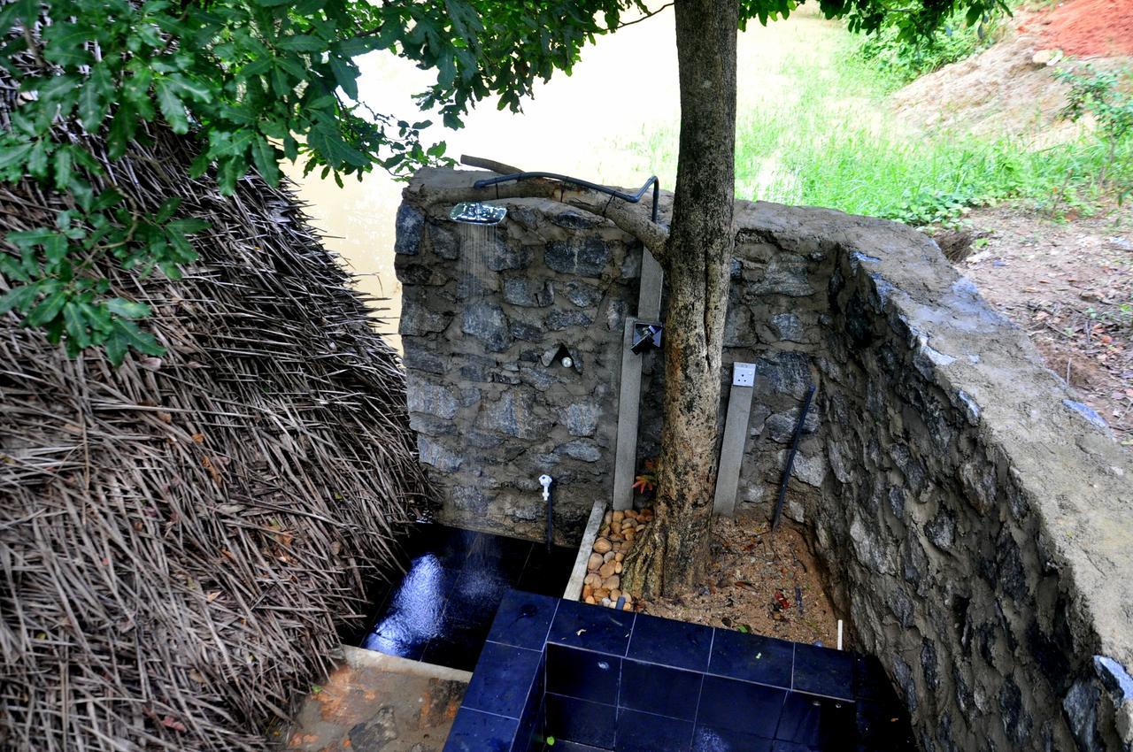 Raintree Βίλα Dambulla Εξωτερικό φωτογραφία