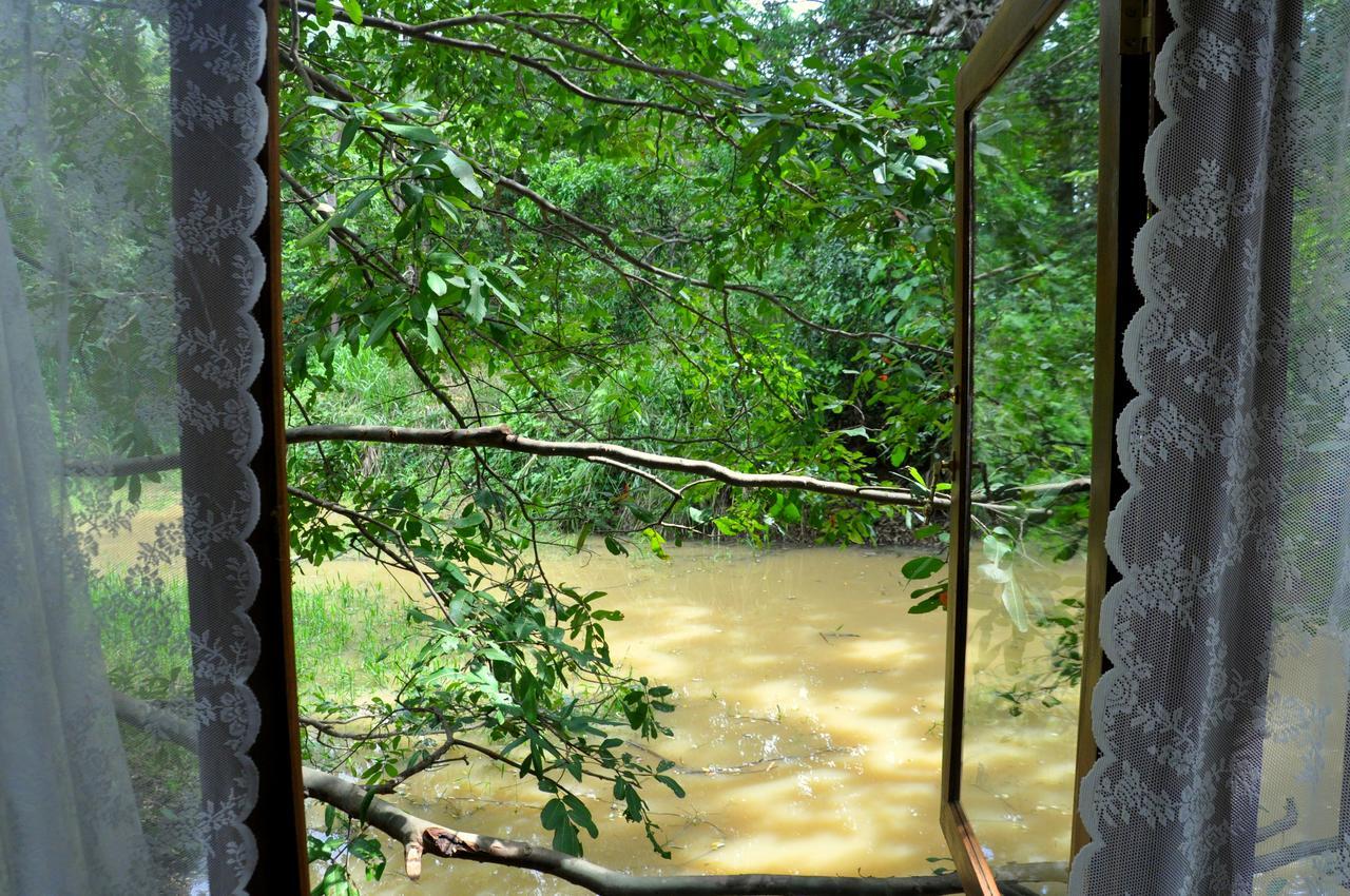 Raintree Βίλα Dambulla Εξωτερικό φωτογραφία