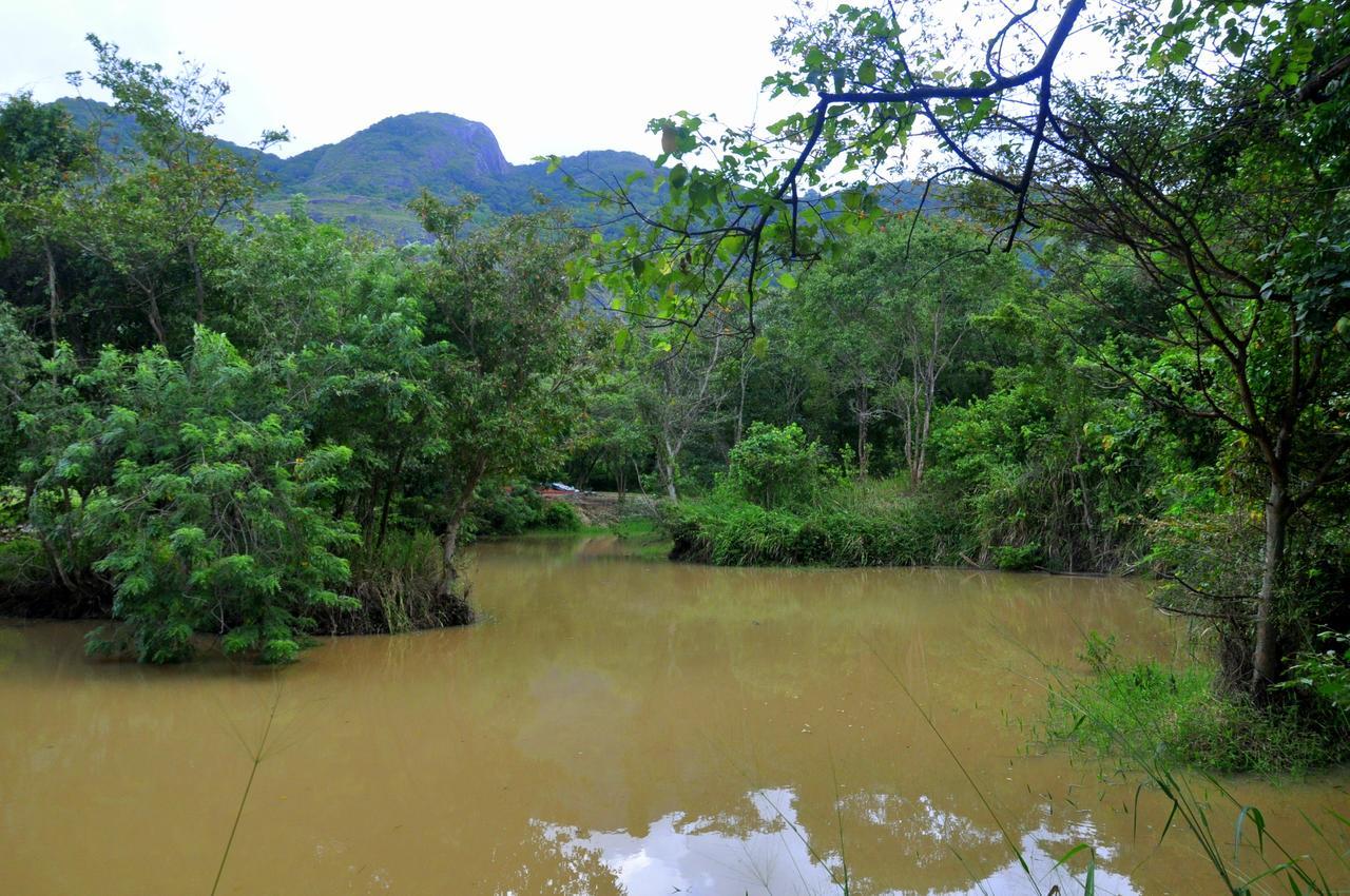 Raintree Βίλα Dambulla Εξωτερικό φωτογραφία