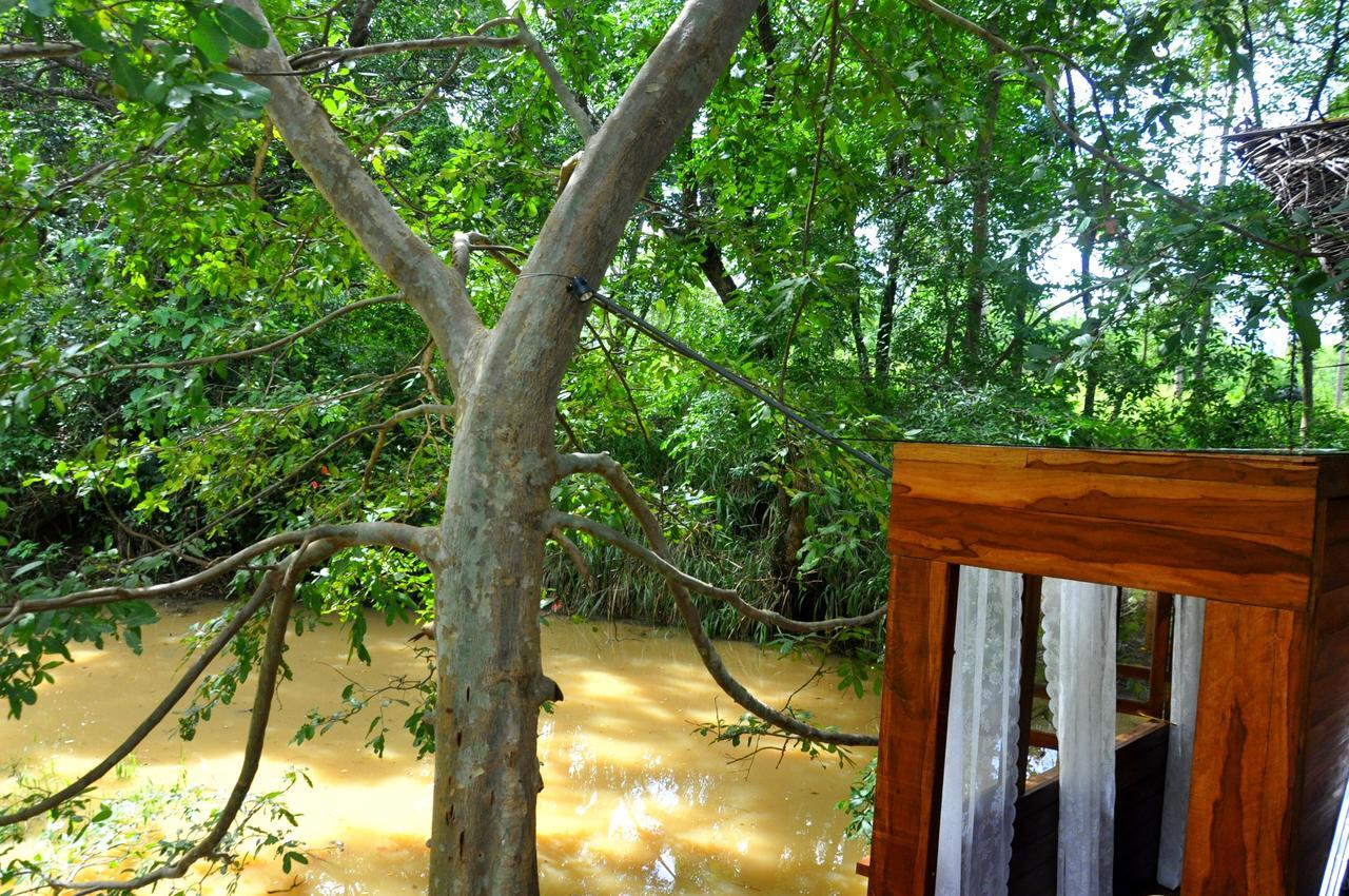 Raintree Βίλα Dambulla Εξωτερικό φωτογραφία