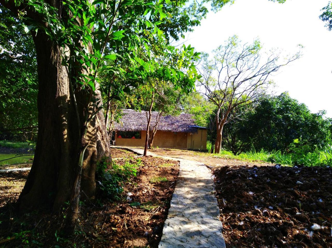Raintree Βίλα Dambulla Εξωτερικό φωτογραφία