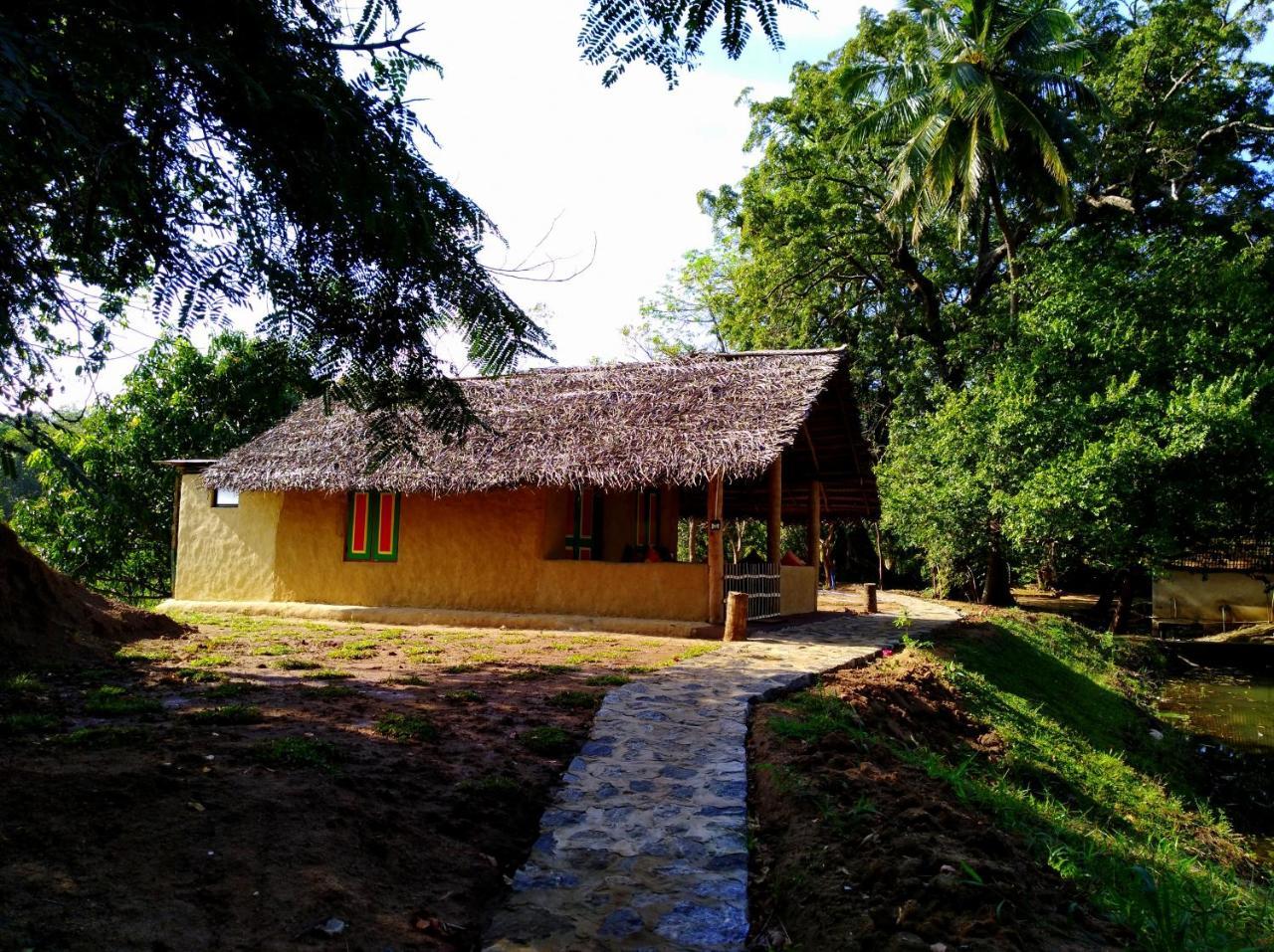Raintree Βίλα Dambulla Εξωτερικό φωτογραφία