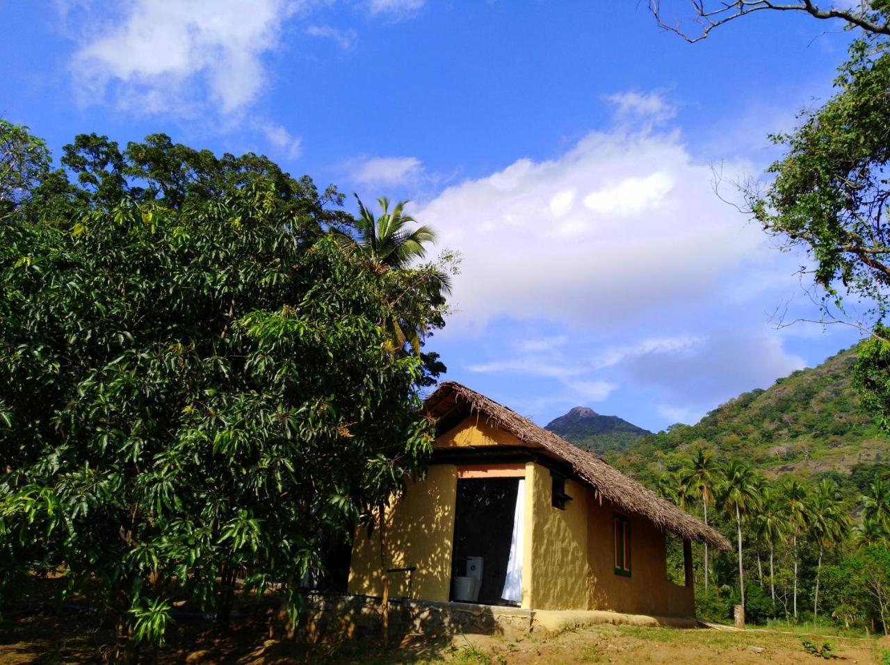 Raintree Βίλα Dambulla Εξωτερικό φωτογραφία