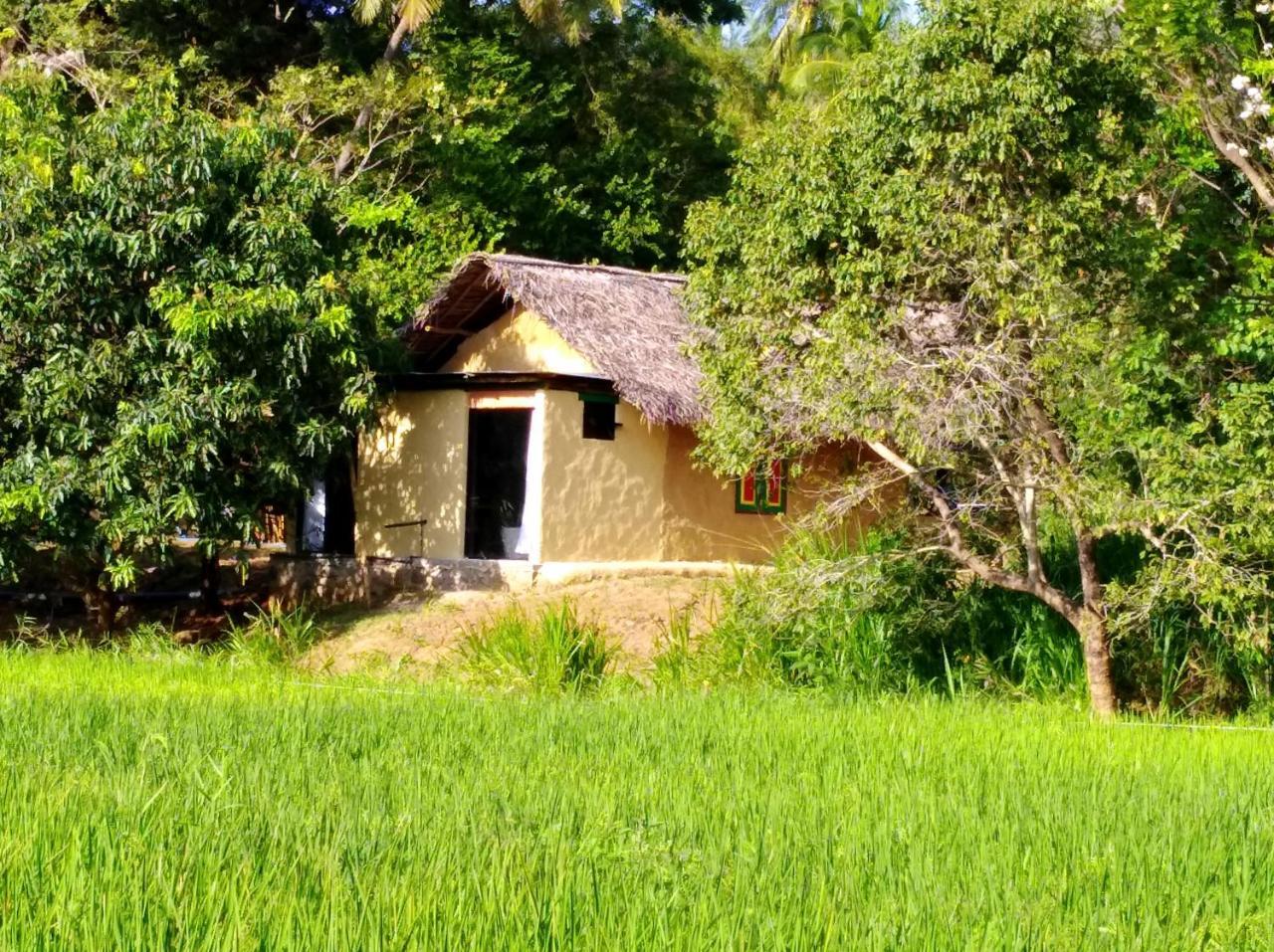 Raintree Βίλα Dambulla Εξωτερικό φωτογραφία